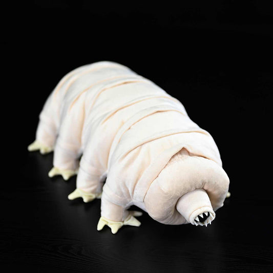 Tardigrade Water Bear Plush Toy | Soft Stuffed Micro Animal Flannel Doll | Cute Science Novelty Gift for Adults & Collectors